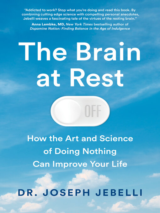 Cover image for The Brain at Rest